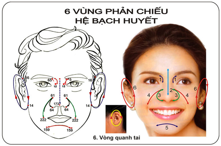 Thông qua tác động 6 vùng phản chiếu của hệ bạch huyết, hệ miễn dịch sẽ được nâng cao hiệu quả hoạt động. Nhờ đó các triệu chứng của bệnh vẩy nến được cải thiện.