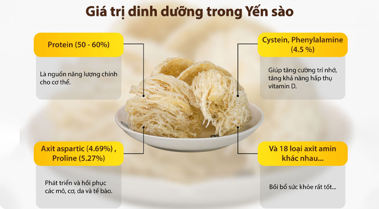 Yến sào chứa hàm lượng dinh dưỡng cao và đa dạng