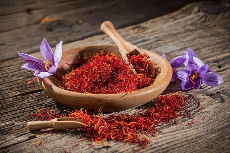 Cần thận trong khi dùng saffron cho phụ nữ mang thai và cho con bú