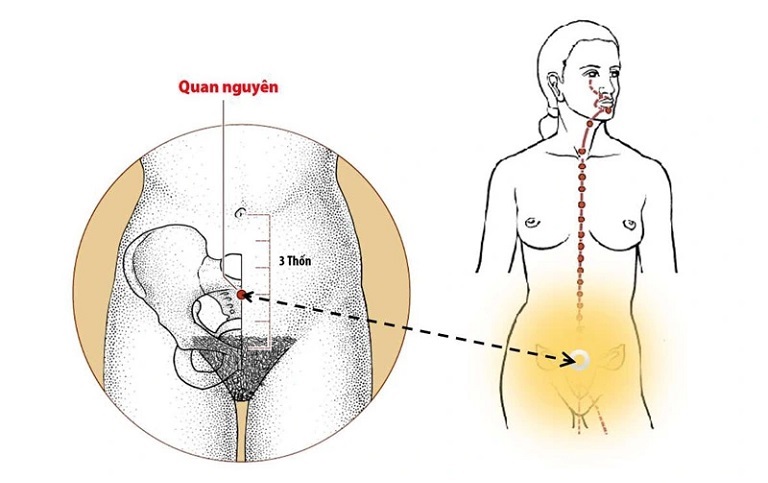 Vị trí của huyệt Quan Nguyên