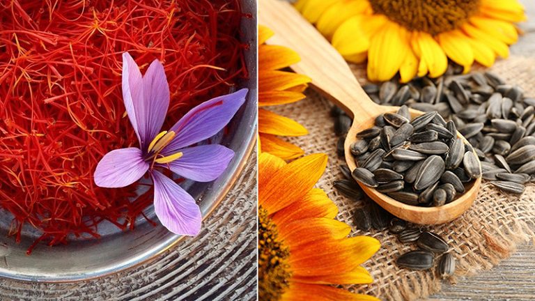 Saffron với hạt hướng dương kết hợp tạo thành mặt nạ dưỡng da