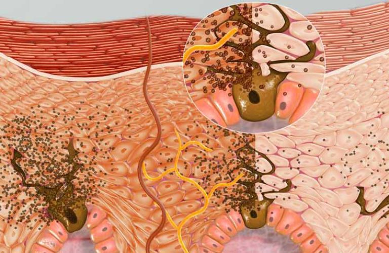 sam-nang-ram-nang (1)