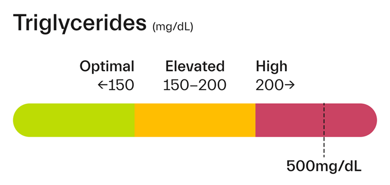 Người có chỉ số triglycerides trên 500 mg/dL nên thường xuyên đi khám bác sĩ