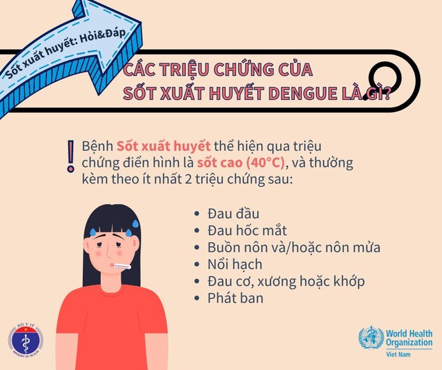 6 triệu chứng sốt xuất huyết trở nặng không thể không biết - Ảnh 2.