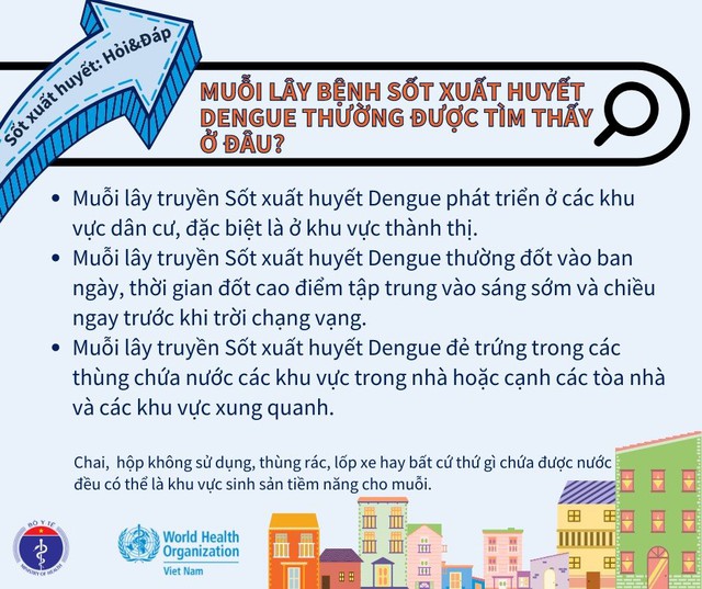 6 triệu chứng sốt xuất huyết trở nặng không thể không biết - Ảnh 6.