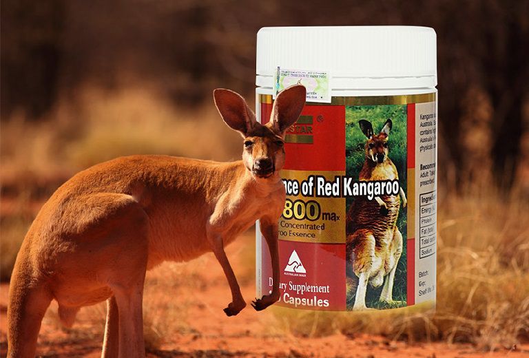 Essence of Red Kangaroo 20800max đã có mặt tại nhiều quốc gia trên thế giới