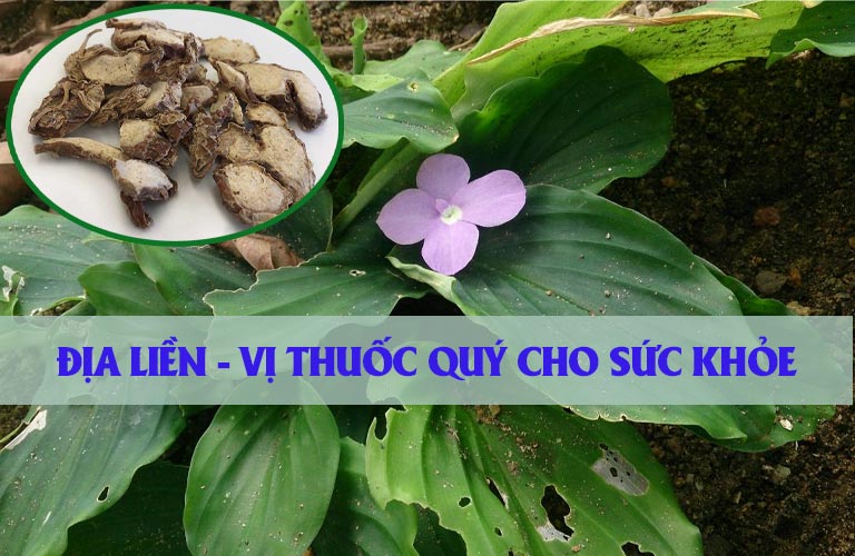 địa liền