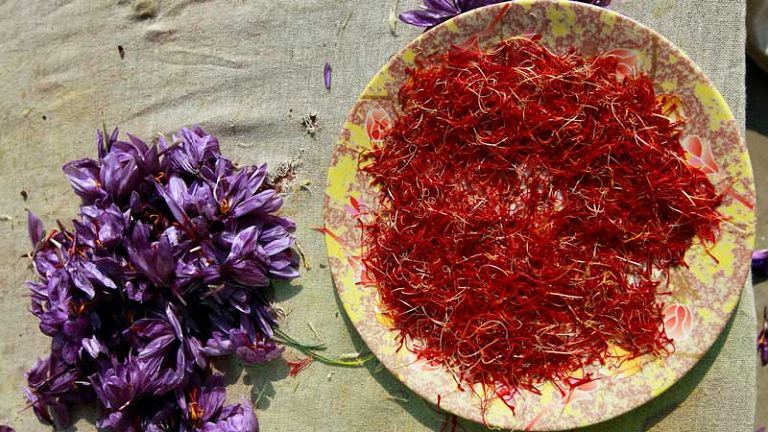 Tuy từng loại saffron sẽ có mức giá khác nhau