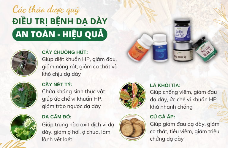 Biệt dược quý trong bài thuốc