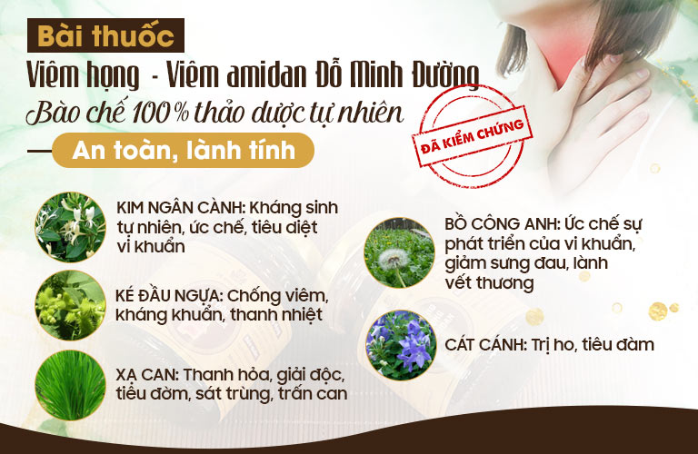 Thành phần thảo dược trong bài thuốc Viêm Họng - Viêm Amidan Đỗ Minh